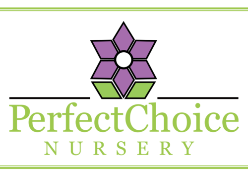 Perfect Choice Nursery